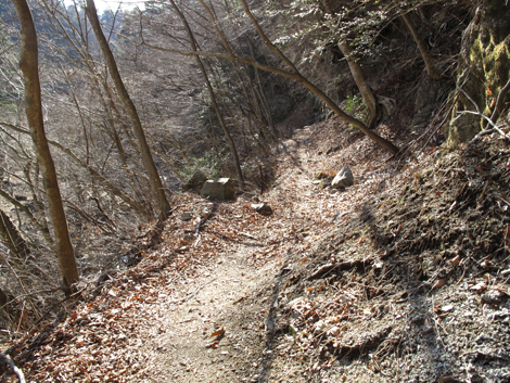 20160218hike (582)
